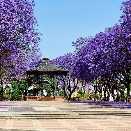 Apartmán Alazan Jerez Iv-Parking Gratis-Wifi-Netflix Jerez de la Frontera Exteriér fotografie