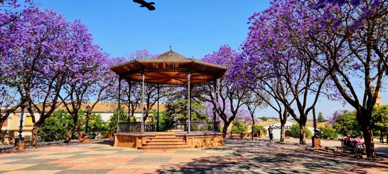 Apartmán Alazan Jerez Iv-Parking Gratis-Wifi-Netflix Jerez de la Frontera Exteriér fotografie